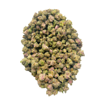 Peanut Butter Breath - Popcorn (1/4 LB - 2 LB) - Image 4