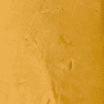 Mango Kush - Budder (Hybrid) - Image 4