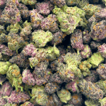 Rainbow Runtz - Popcorn - Image 5