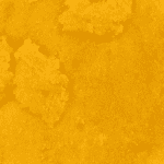 Frosted Fruit Cake - Live Resin (Hybrid) (1/4 LB - 1 LB) - Image 4