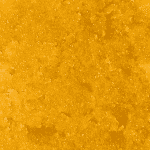 Black Cherry Gelato - Live Resin (Hybrid) - Image 4