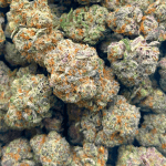 Peanut Butter Breath - AAAA - Image 5