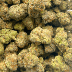 Lemon Kush - AAAA (1/4 LB - 2 LB) - Image 5