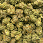 Lemon Kush - Popcorn (1/4 LB - 2 LB) - Image 5