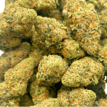 Critical - AAA - Image 5