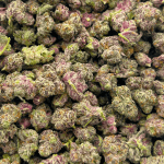 Black Cherry OG - Popcorn (1/4 LB - 2 LB) - Image 5