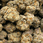 Black Cherry OG - AAAA (1/4 LB - 2 LB) - Image 5