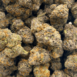 Tropicana Punch - AAAA (1/4 LB - 2 LB) - Image 5