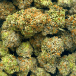 Bubba OG - AAAA - Image 5
