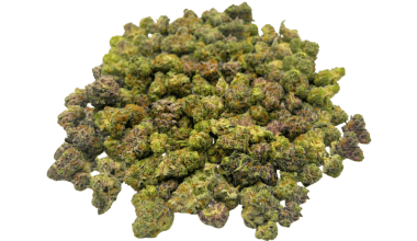 King's Juice (Crop #2) - Popcorn (1/4 LB - 2 LB)