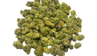 King Tut (Crop #2) - Popcorn (1/4 LB - 2 LB)