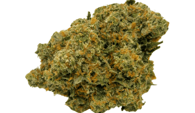 Amnesia Haze - AAAA