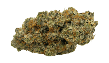 El Chapo - Craft Cannabis