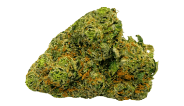 Apple Fritter - AAAA
