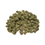 Blueberry Silvertip - Popcorn