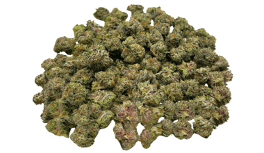 Blueberry Silvertip - Popcorn