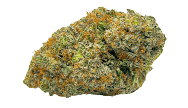 Blueberry Silvertip - AAAA (1/4 LB - 2 LB)