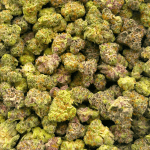 King's Juice (Crop #2) - Popcorn - Image 2