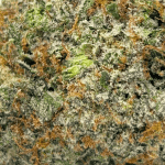 Death Gas - Craft Cannabis (1/4 LB - 1 LB) - Image 2