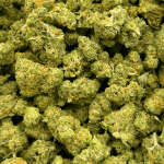 Amnesia Haze - Popcorn - Image 2