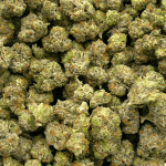 El Chapo - Popcorn (1/4 LB - 2 LB) - Image 2