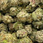 Death Gas - Popcorn (1/4 LB - 2 LB) - Image 2