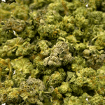 Wedding Cake - Popcorn (1/4 LB - 2 LB) - Image 2