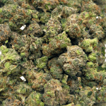Apple Fritter - Popcorn (1/4 LB - 2 LB) - Image 2