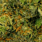 Apple Fritter - AAAA (1/4 LB - 2 LB) - Image 2