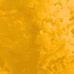 Pinetar OG - Live Resin (Indica) (1/4 LB - 1 LB) - Image 3
