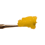 Tropicana Banana - Live Resin (Hybrid) - Image 2