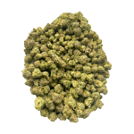 King Tut (Crop #2) - Popcorn - Image 4