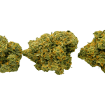 Amnesia Haze - AAAA - Image 3
