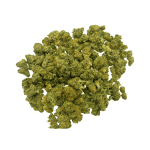 Amnesia Haze - Popcorn (1/4 LB - 2 LB) - Image 3