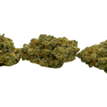 El Chapo - Craft Cannabis - Image 3