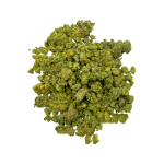 Wedding Cake - Popcorn (1/4 LB - 2 LB) - Image 3