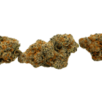 Gelato Mintz - Craft Cannabis (1/4 LB - 1 LB) - Image 3