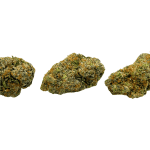 Blueberry Silvertip - AAAA - Image 3