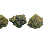 Tuna Kush - Craft Cannabis (1/4 LB - 1 LB) - Image 3