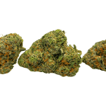Apple Fritter - AAAA - Image 3