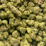 King Tut (Crop #2) - Popcorn (1/4 LB - 2 LB) - Image 2
