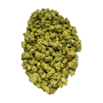 Amnesia Haze - Popcorn (1/4 LB - 2 LB) - Image 4