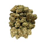 Blueberry Silvertip - AAAA - Image 4
