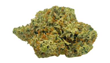 Blue Lobster - AAAA (1/4 LB - 2 LB)