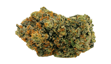 Master Kush - Craft Cannabis