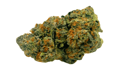 Cherry Pie - AAAA (1/4 LB - 2 LB)