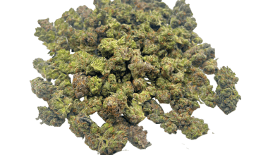 Rockstar - Popcorn