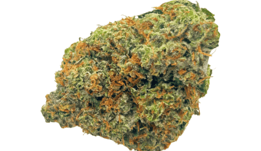 Death Bubba - AAAA