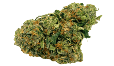 Death Gas - AAAA