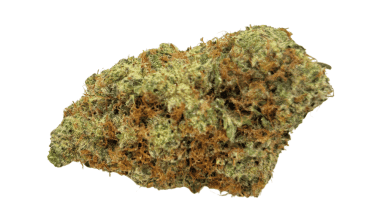 Gary Payton - Craft Cannabis